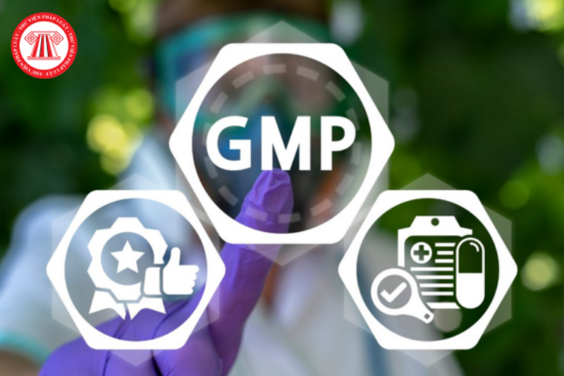 Quy trình sản xuất thực phẩm bảo vệ sức khỏe đạt chuẩn chất lượng GMP là gì